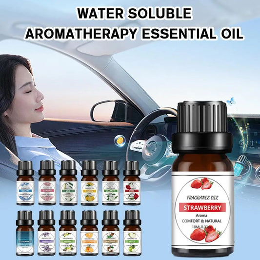 Car Fragrance Humidifier Special Fragrance Perfume Liquid For Car Mounted Perfume Machine Multi Style Scent 10ml