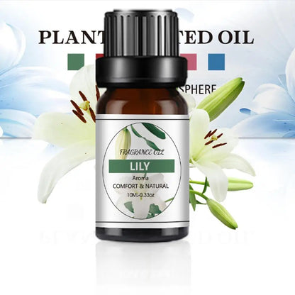 Car Fragrance Humidifier Special Fragrance Perfume Liquid For Car Mounted Perfume Machine Multi Style Scent 10ml