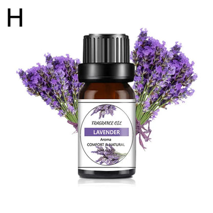 Car Fragrance Humidifier Special Fragrance Perfume Liquid For Car Mounted Perfume Machine Multi Style Scent 10ml